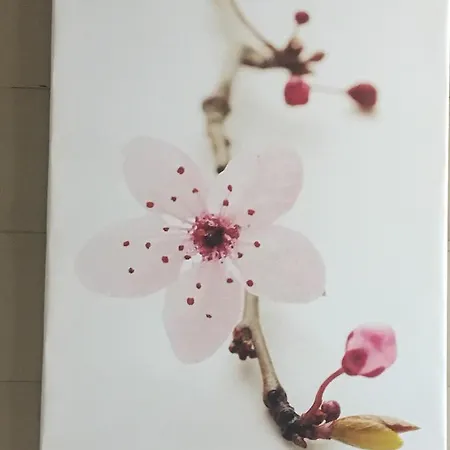 Familial L'ostrei Hotel Arcachon