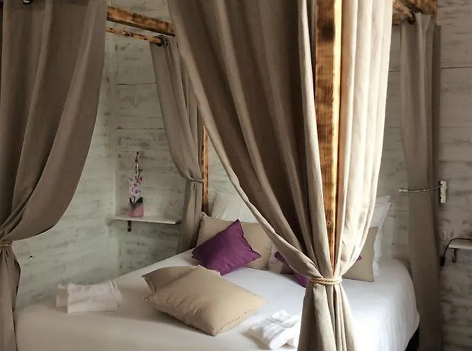 Familial L'ostrei آركاشو