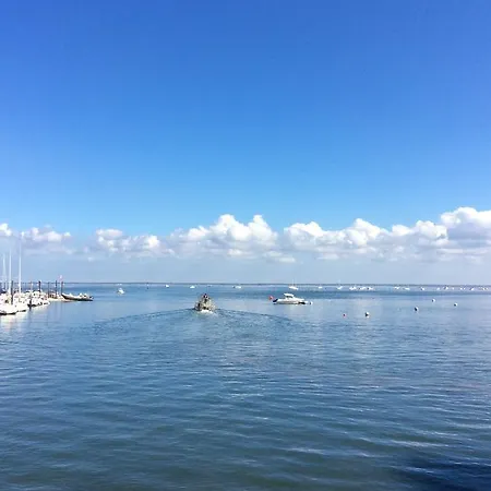 Familial L'ostrei 2*