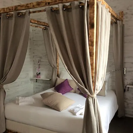 Familial L'ostrei 아르카숑