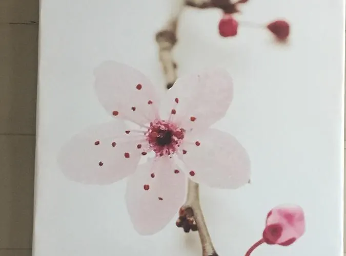 L'ostréi Hotel Arcachon